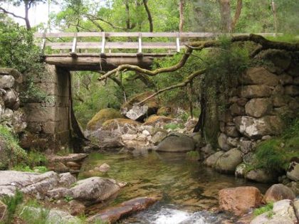 A stone bridge under old oaks in Ger&ecirc;s